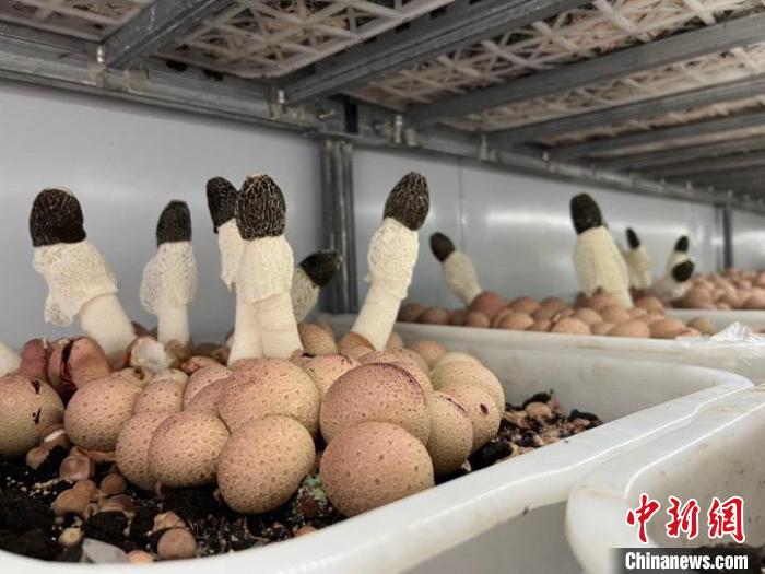 浙江鄉(xiāng)村觀察：“強(qiáng)村公司”如何抱團(tuán)發(fā)展？