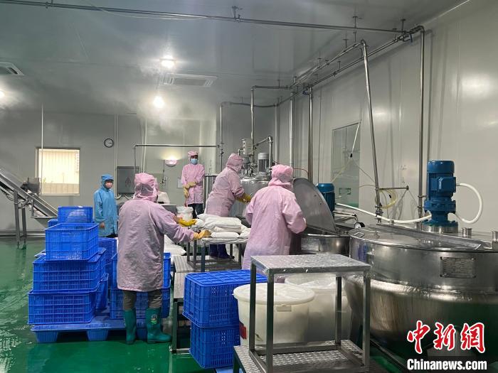 鮮友的生產(chǎn)車間內(nèi)，員工正在制作果汁產(chǎn)品?！÷访?攝