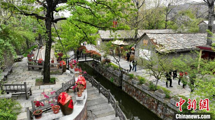 資料圖：蘭陵縣壓油溝景區(qū)內(nèi)仿古的石頭房、整齊的青石板路吸引游客參觀。(無(wú)人機(jī)照片) 劉芳芳 攝