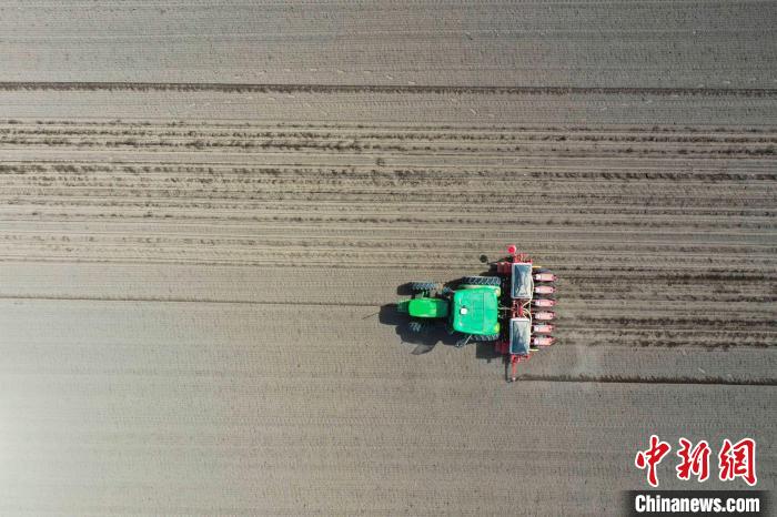 裝有北斗導航自動駕駛系統(tǒng)的甜菜播種機來回穿梭作業(yè)?！?張文庭 　攝