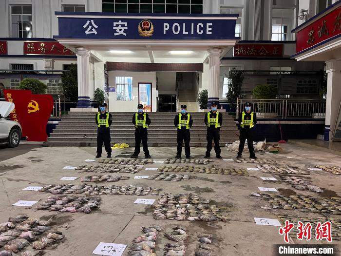 圖為移民管理警察對鱷魚爪清點(diǎn)標(biāo)號(hào)?！∴嚩赜?攝