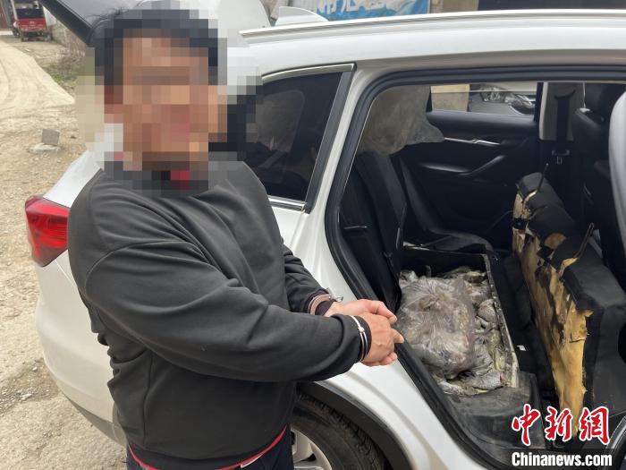 圖為嫌疑人對無合法手續(xù)鱷魚爪進(jìn)行指認(rèn)?！∴嚩赜?攝