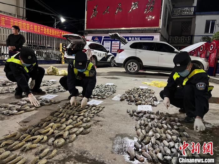 圖為移民管理警察對查獲的鱷魚爪進(jìn)行清點(diǎn)。　鄧敦宇 攝