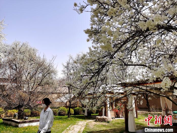 圖為噶達(dá)莊園一角?！?zhí)砀?攝