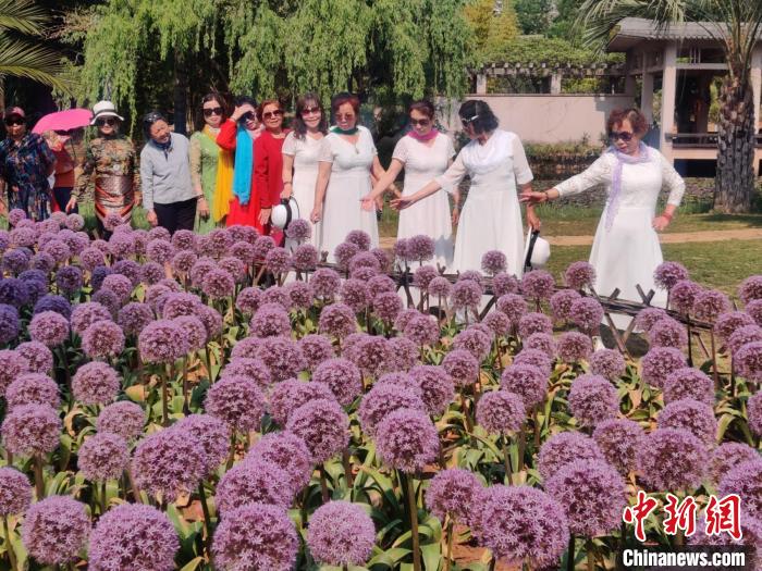 圖為游客游覽中烏全球蔥園“昆明中心”。　成潔煥 攝