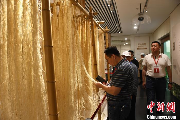 海外華文媒體嘉賓們參觀夏布博物館?！￡惓?攝