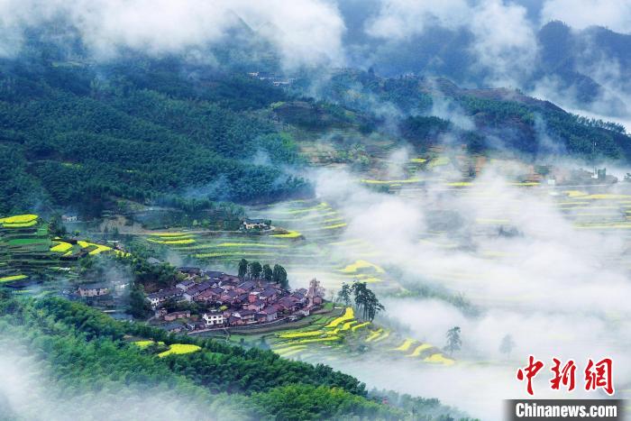 麗水一景?！←愃形麄鞑抗﹫D