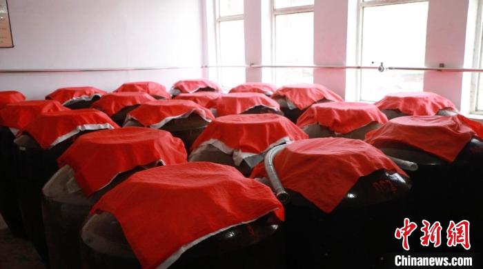 圖為正在瓷壇中發(fā)酵的黃酒?！∠蛏?攝