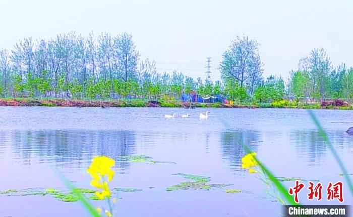 好生態(tài)養(yǎng)出好龍蝦?！☆櫴縿?攝