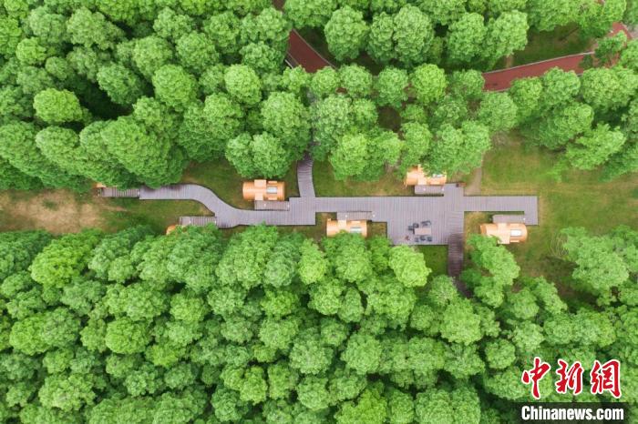 航拍黃海國(guó)家森林公園?！°蟛?攝