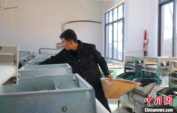 陳正銘管理炒茶設備 項菁 攝