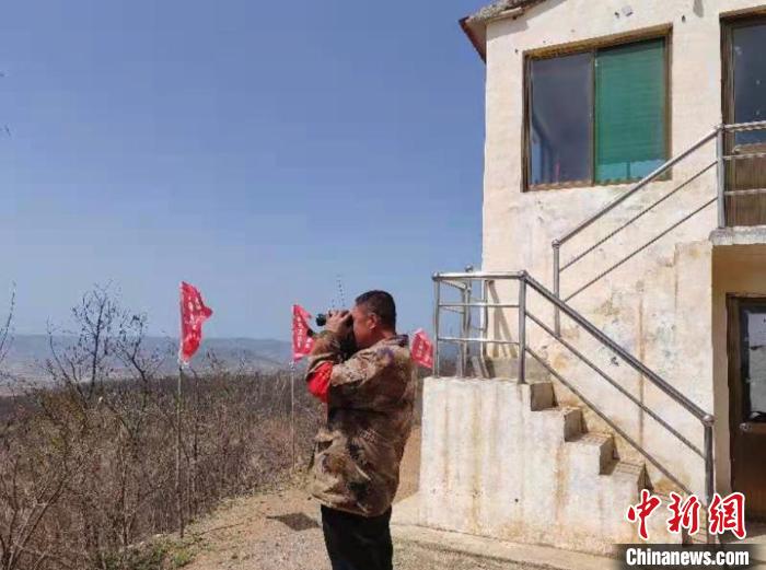 王強(qiáng)說，在山里習(xí)慣了，他對這里的一溝一壑了然于胸，這片山林幾乎就是他的世界。　楊建偉 攝