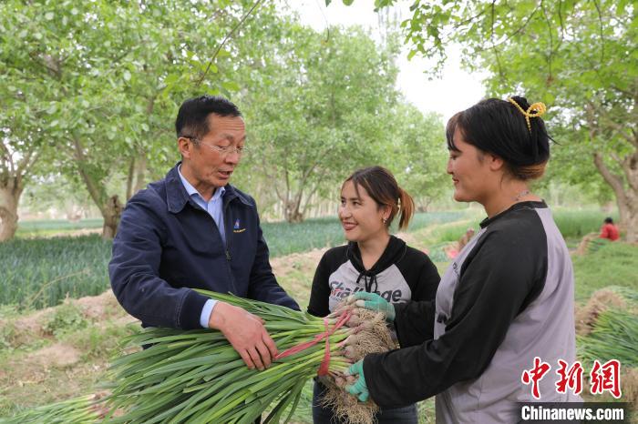 秦新民(左一)向蒜農(nóng)講解注意事項(xiàng)。　趙飛 攝