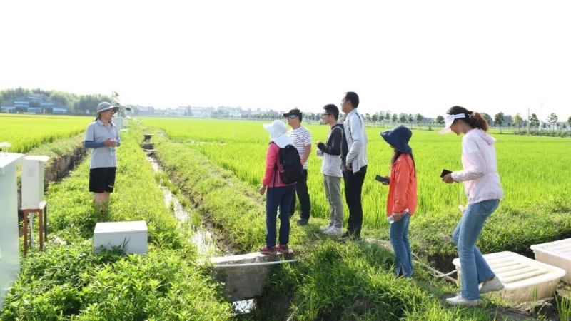 △云南大理古生村科技小院成員在田間調(diào)查。