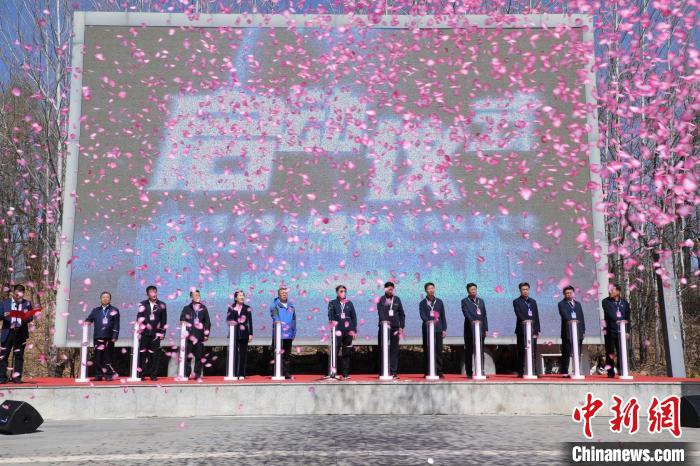 鄂倫春達(dá)爾濱興安杜鵑賞花季啟動(dòng)