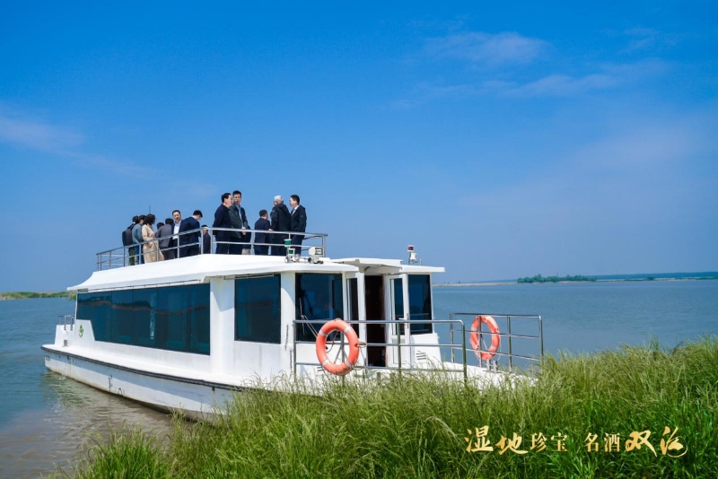 1684136605426072253.jpg 1684136605426072253.jpg