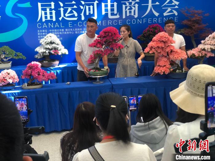 數(shù)十名主播在直播間內(nèi)競拍花木盆景?！⒘?攝