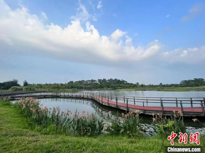 5月20日，五源河國家濕地公園美如畫。　?？谑袧竦乇Ｗo(hù)管理中心供圖