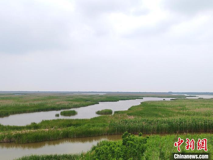 保護(hù)區(qū)內(nèi)的濕地?！」热A 攝