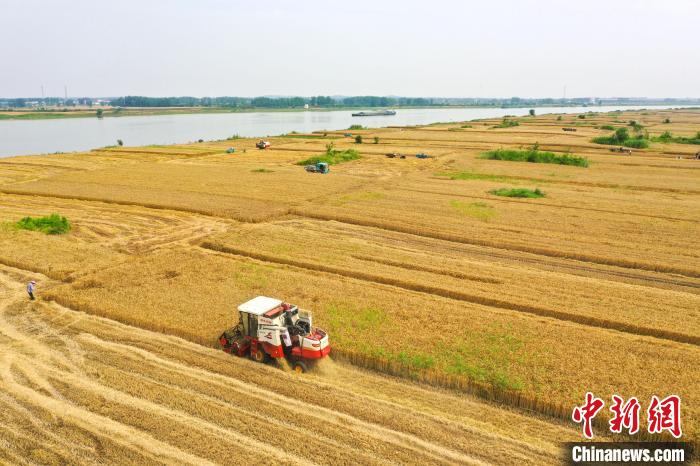 江淮，與“天”爭糧
