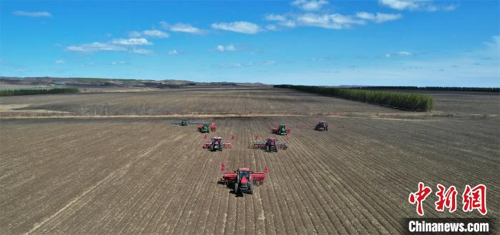 圖為大豆播種現(xiàn)場(chǎng)。　黃艷雙 攝