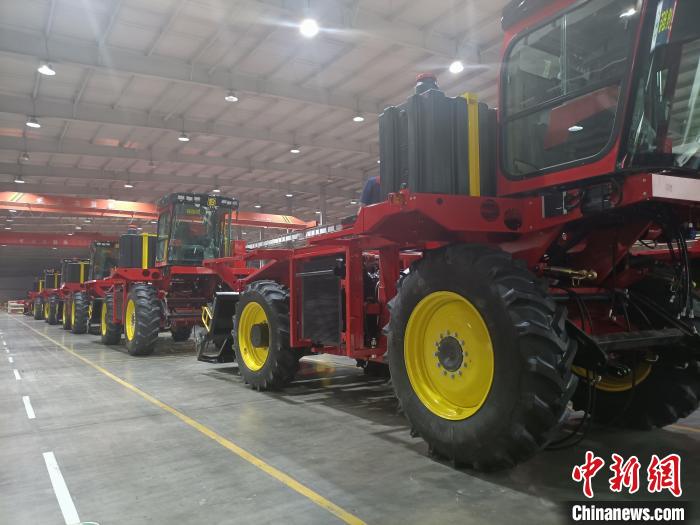 新疆棉花邁向“全產(chǎn)業(yè)鏈”:一朵棉花“鏈”起一個產(chǎn)業(yè)集群