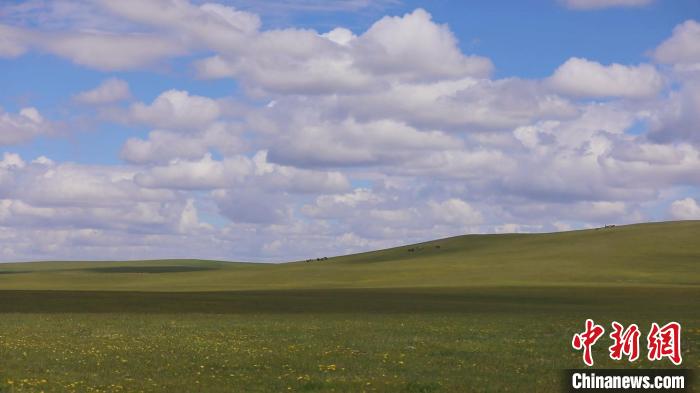 圖為點(diǎn)點(diǎn)新綠在原野上蓄勢待發(fā)?！W戈 攝