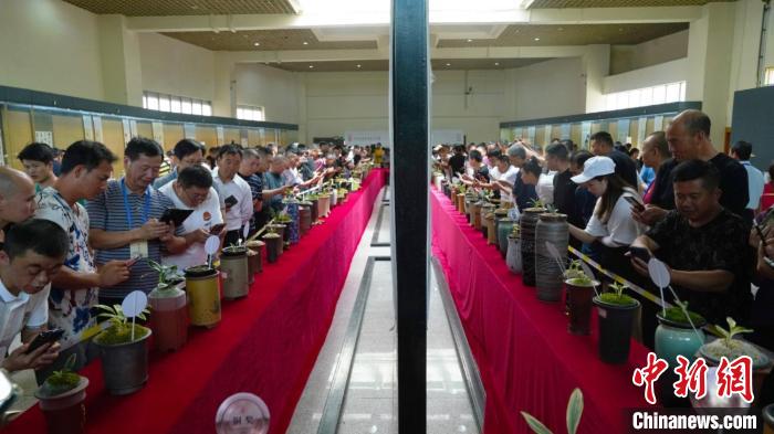 圖為活動(dòng)現(xiàn)場(chǎng)?！≡颇鲜∥_(tái)辦供圖