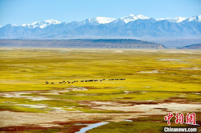 圖為2018年9月下旬，甘肅酒泉市肅北草原風景如畫。(資料圖) 鄭磊斌 攝