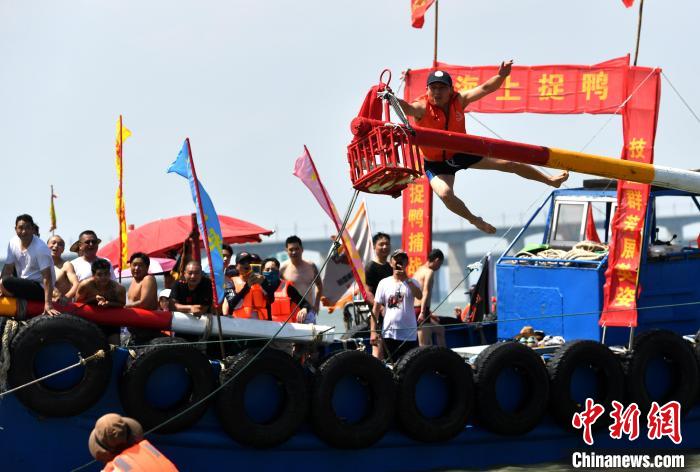 圖為海上捉鴨?！蚊?攝