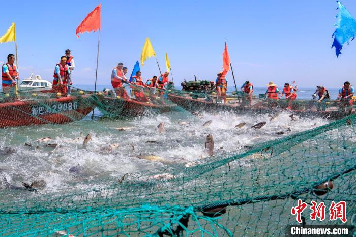 在一聲聲吶喊中，漁民們收起巨網(wǎng)?！∧昀?攝