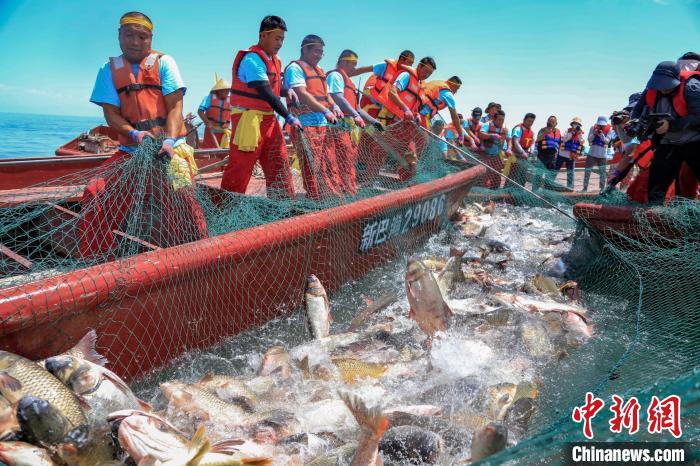 魚兒在水中翻騰?！∧昀?攝