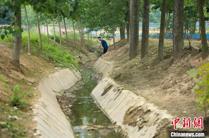 潘軍杰在清理稻鱉共養(yǎng)基地水渠?！￡惣覙?lè) 攝