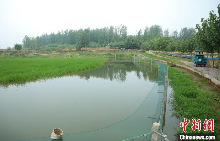 潘軍杰駕駛?cè)嗆?chē)外出送貨?！￡惣覙?lè) 攝