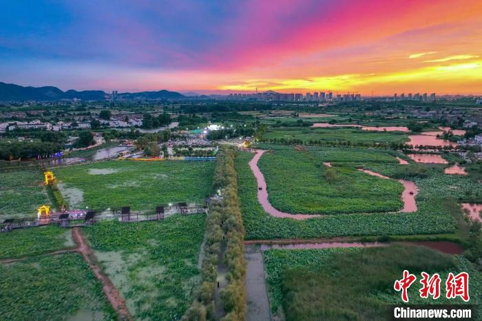 23日，航拍位于南京棲霞區(qū)龍?zhí)对谒环骄皡^(qū)的荷花基地，在絢麗晚霞的映襯下，這里“千層翠蓋萬(wàn)紅妝”?！°蟛?攝