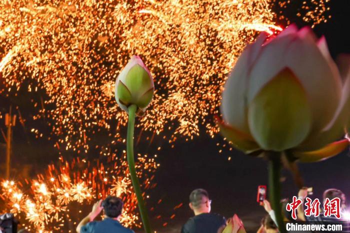 23日，航拍位于南京棲霞區(qū)龍?zhí)对谒环骄皡^(qū)的荷花基地，在絢麗晚霞的映襯下，這里“千層翠蓋萬(wàn)紅妝”?！°蟛?攝