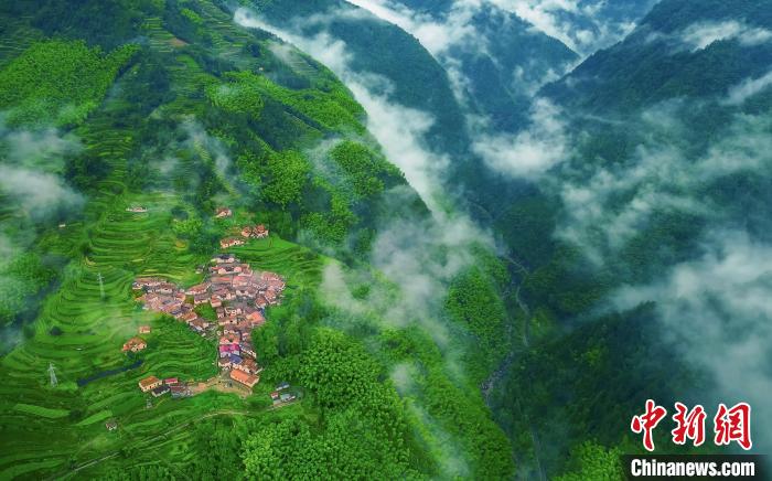 “八八戰(zhàn)略”開放記：秀山麗水如何耕甜“地瓜”？