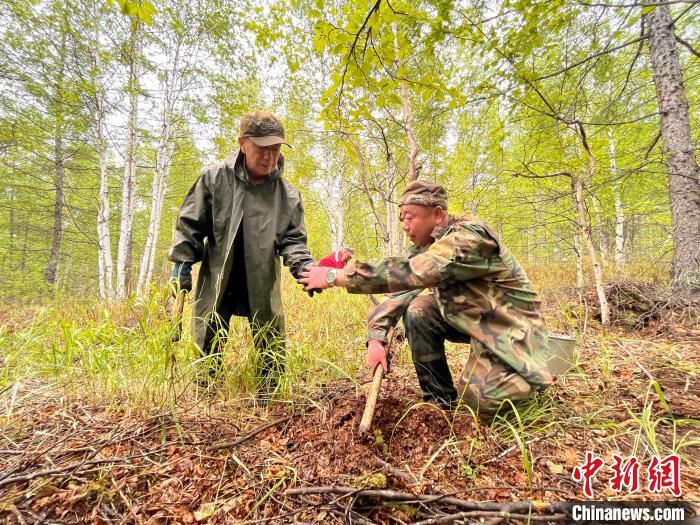 圖為林業(yè)職工正在造林?！埿?攝