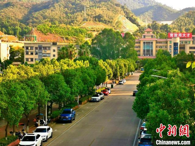 圖為三明學(xué)院校園一角?！∪鲗W(xué)院供圖