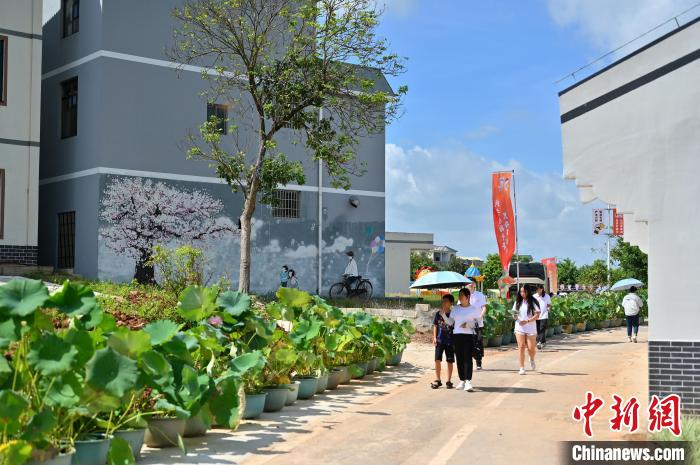 圖為民眾賞荷?！∮峋?攝