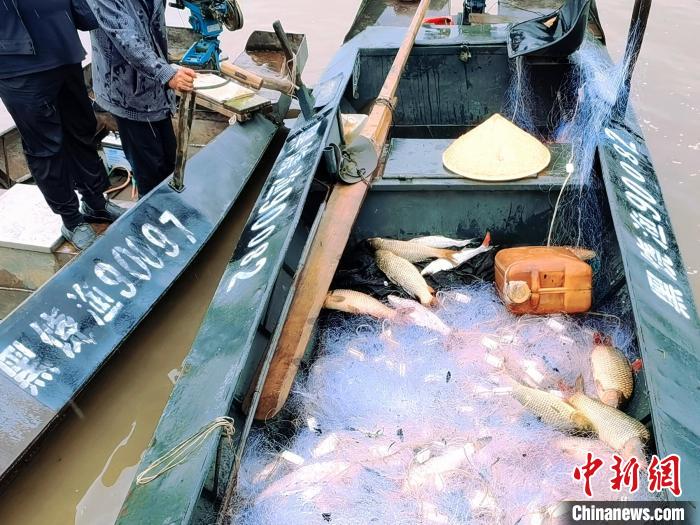 禁漁期結(jié)束，漁民下江打魚收獲滿滿?！⊥跤?攝