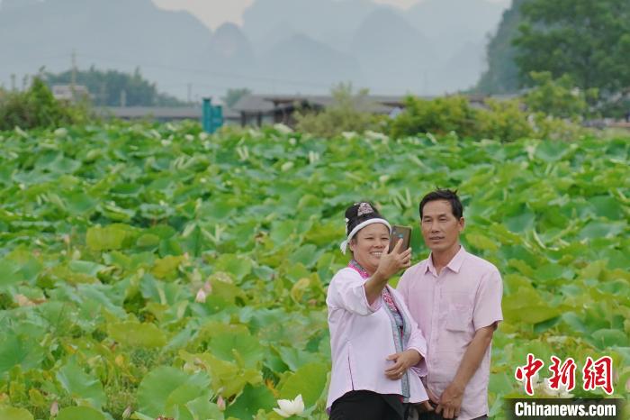 圖為游客在百朋下倫荷花景區(qū)中賞荷拍照。　韋國政 攝