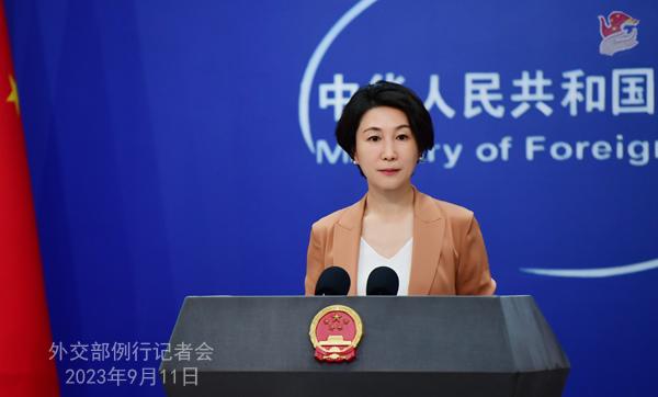 中方：G20新德里峰會(huì)宣言是各方協(xié)商一致達(dá)成的，反映了各成員國(guó)的共識(shí)