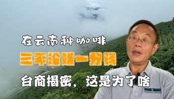 【滇西行】在云南種咖啡三年未賺一分錢？！臺商揭密個中原因