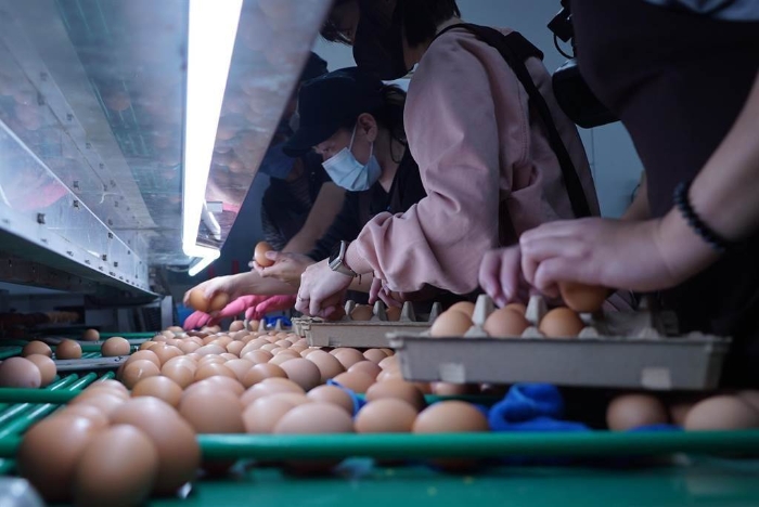 臺灣“中時新聞網(wǎng)”資料圖。