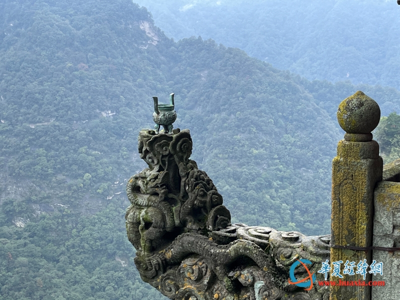 龍頭香 攝 黃楊 龍頭香 攝 黃楊