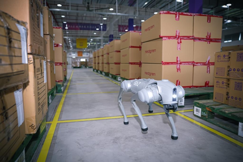 　9月13日，機(jī)器狗在杭州亞運(yùn)會(huì)物流中心內(nèi)執(zhí)行巡檢工作。新華社記者 江漢 攝