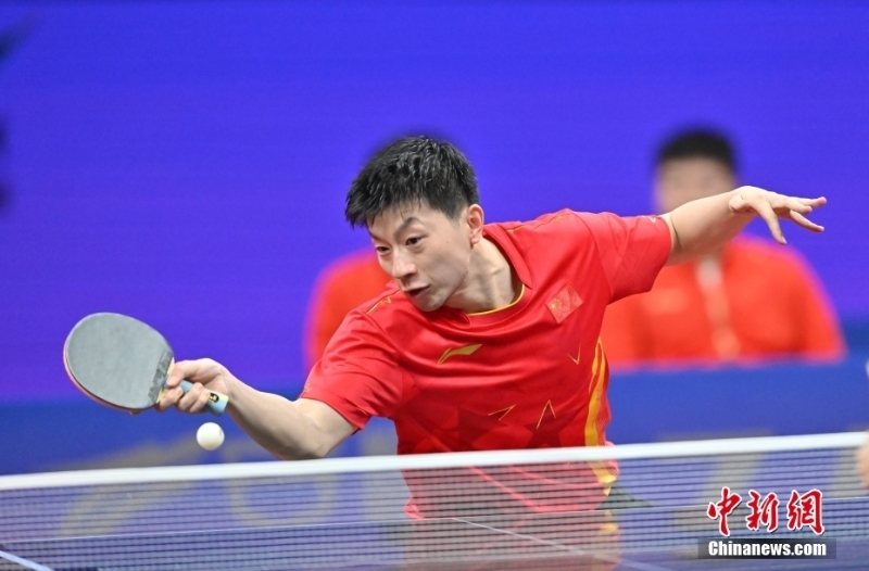 圖為中國隊(duì)選手馬龍?jiān)诒荣愔小?lt;a target='_blank' href='/'>中新社</a>記者 駱云飛 攝