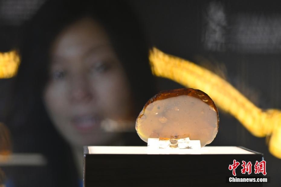 （第六屆進(jìn)博會(huì)）進(jìn)博會(huì)上的精美展品