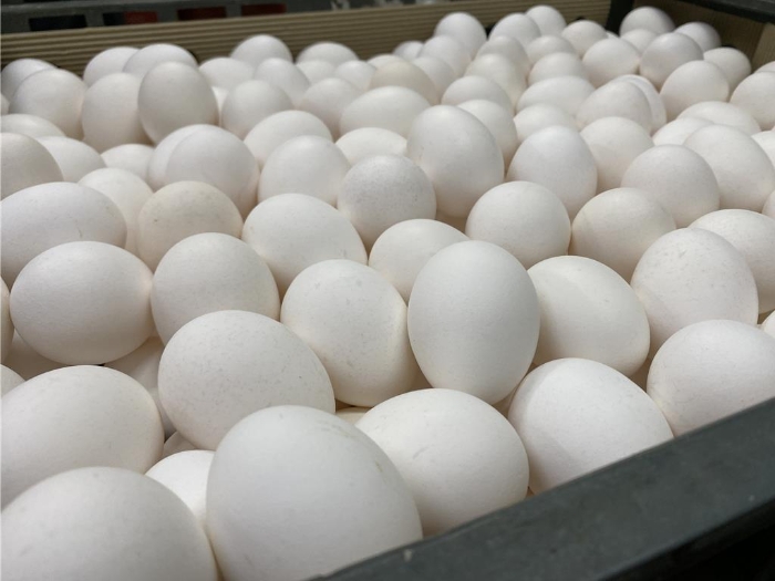 圖片來源：臺(tái)灣“中時(shí)新聞網(wǎng)”